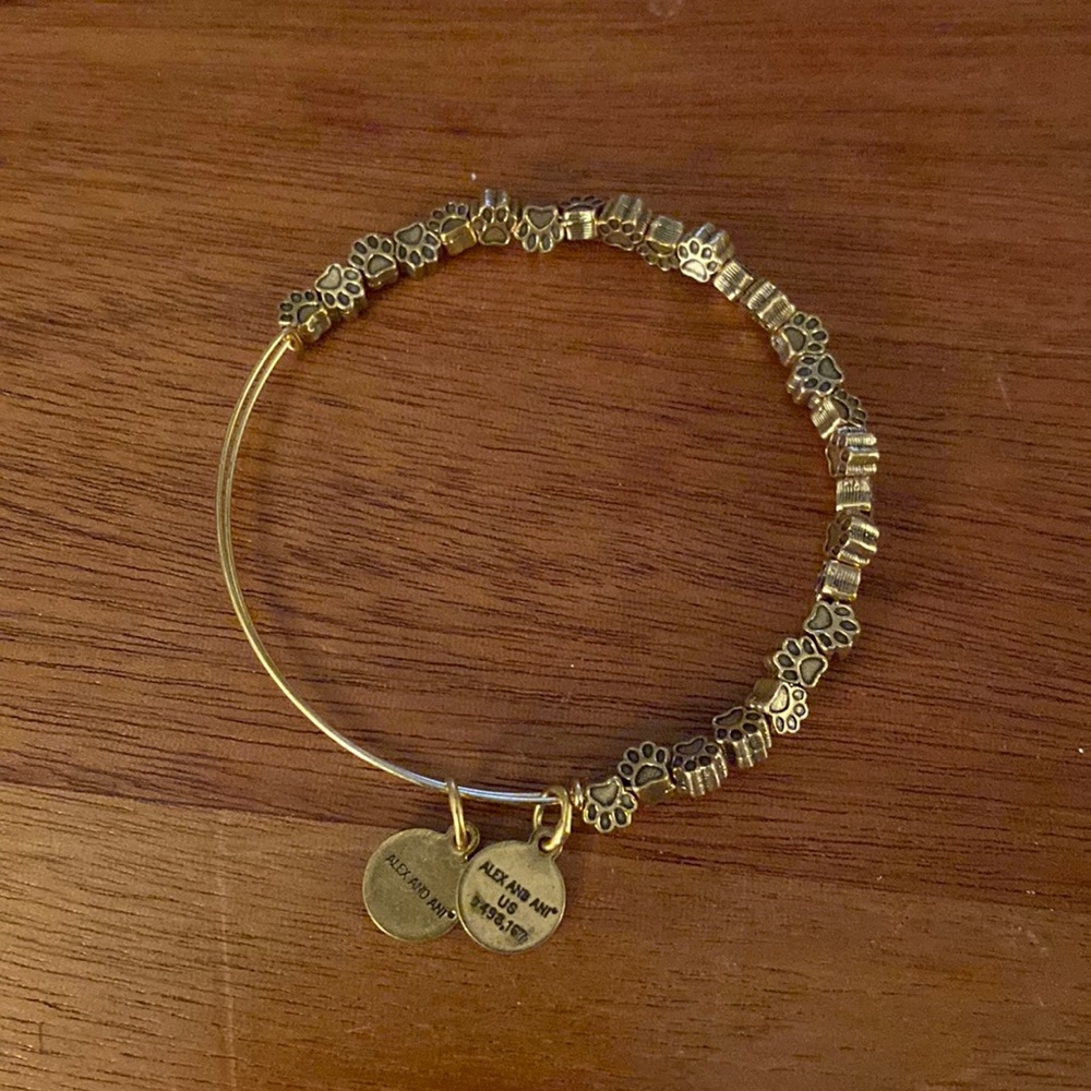 Alex and Ani Bracelet